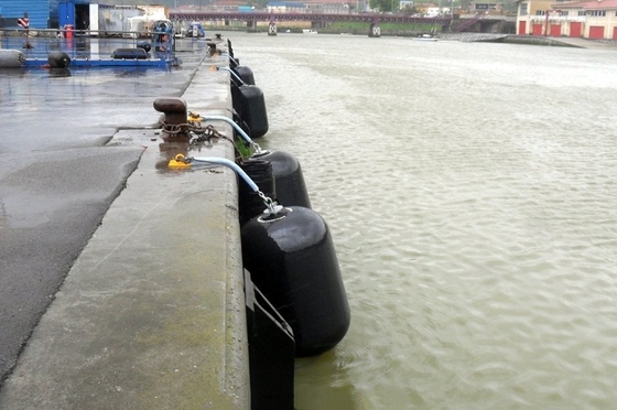 L'OEM ha permesso al fornitore eccellente dei cuscini ammortizzatori di Marine Boat Balloon Fender Rubber