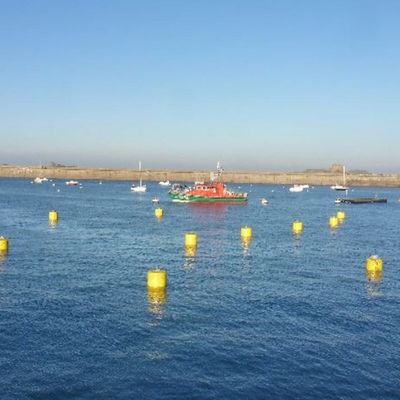 Boa ad alta resistenza della barriera di Eva Foam Filled Marine Floating Buoy CCS