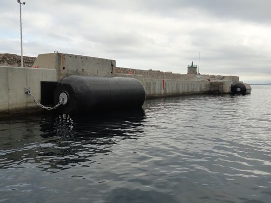 Cuscino ammortizzatore riempito di gomma piuma di galleggiamento su misura con la gomma e la catena