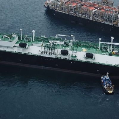 Flangia 80Kpa Marine Rubber Bumper dell'ABS Q235 per i trasportatori del gas che mettono in bacino paraurti