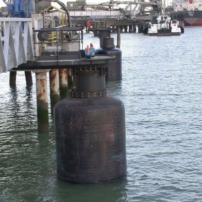 Cuscino ammortizzatore della ciambella della BV di assorbimento di alta energia per la messa in bacino della Marine EVA Bumper