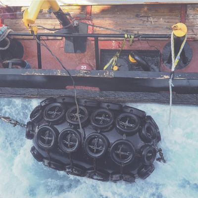 Cuscino ammortizzatore di gomma pneumatico durevole di UE Yokohama per la nave che ancora mettendo in bacino amplificatore