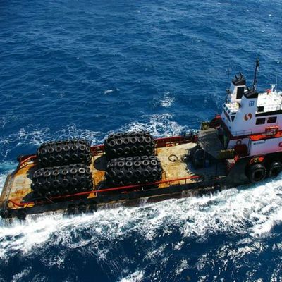 Cuscino ammortizzatore pneumatico di ISO17358 CCS Yokohama per il cuscino ammortizzatore di gomma gonfiabile del molo