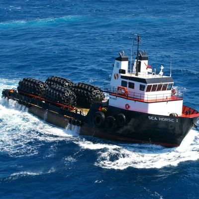 Cuscino ammortizzatore di Marine Ship Yokohama Pneumatic Rubber della nave