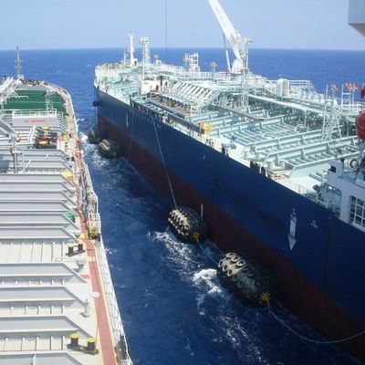 ISO17357 50 cuscino ammortizzatore di gomma di galleggiamento pneumatico dello STS STD Yokohama di kpa di kpa 80