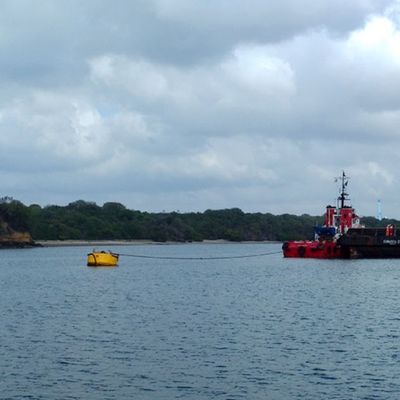 Boa ad alta resistenza della barriera di Eva Foam Filled Marine Floating Buoy CCS
