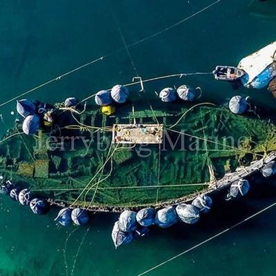 Cuscino ammortizzatore di gomma naturale della nave di Yokohama del cuscino ammortizzatore di gomma pneumatico fatto in Cina
