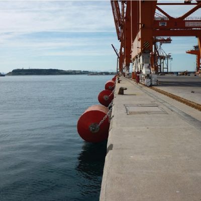 Poliuretano Marine Solid Foam Boat Fenders per protezione della nave